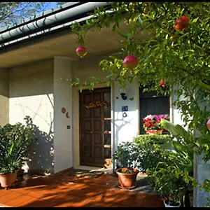 Oasi Di Wenecja
